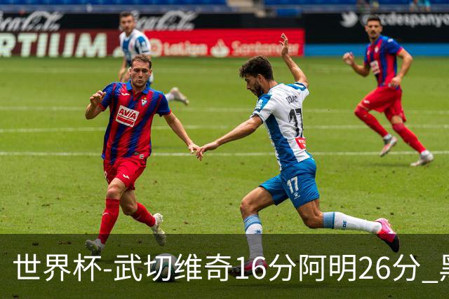 世界杯-武切维奇16分阿明26分 黑山大胜埃及