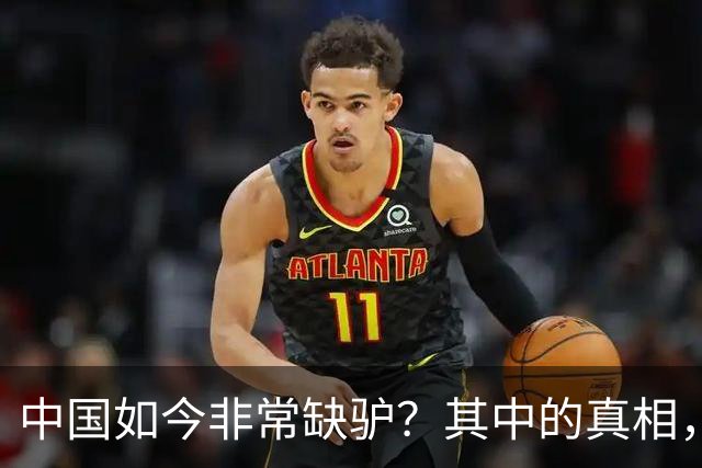 中国如今非常缺驴？其中的真相，比你想象的还要荒诞得多