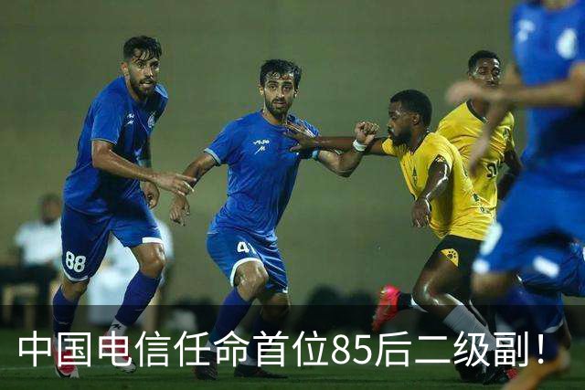 中国电信任命首位85后二级副！