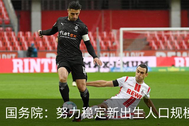 国务院：努力稳定新出生人口规模