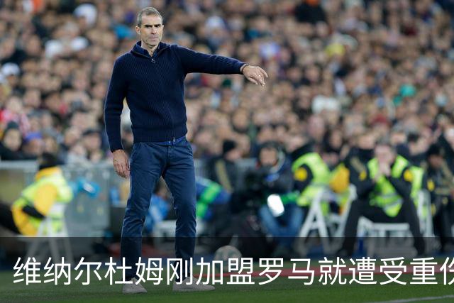 维纳尔杜姆刚加盟罗马就遭受重伤 提前告别今年比赛