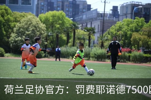 荷兰足协官方：罚费耶诺德7500欧元，客场禁球迷处罚缓期