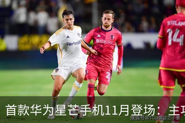 首款华为星芒手机11月登场：主攻性价比 压力给到友商