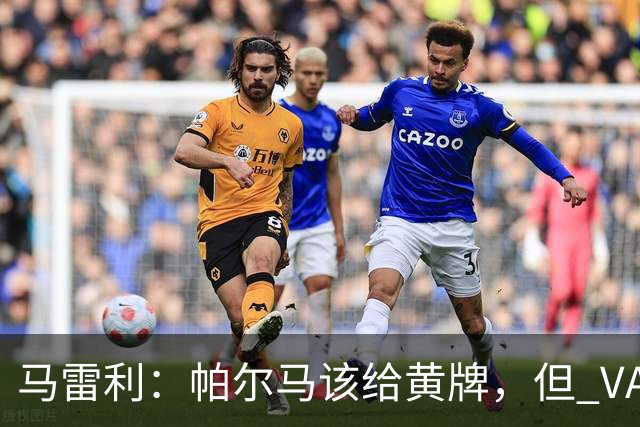 马雷利：帕尔马该给黄牌，但 VAR 不介入并无问题