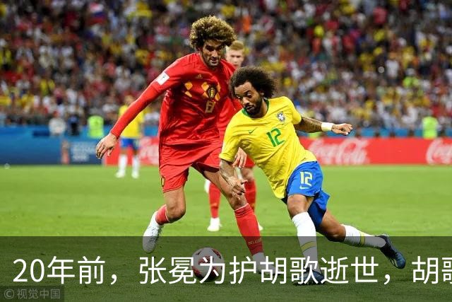 20年前，张冕为护胡歌逝世，胡歌许诺赡养其父母，如今他做到了吗